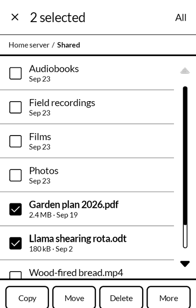 Files with two documents chosen in a folder on a home server