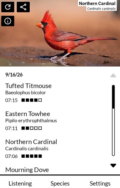 Birding with a Northern Cardinal heard, and the day's other birds below